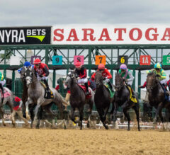 Saratoga FREE Win Picks | August 29, 2024