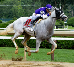 Saratoga Picks | Jockey Club Gold Cup Stakes 2024