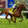 Coolmore Turf Mile Picks and Preview 2024