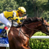 Bowling Green Stakes 2025 Picks and Preview | Far Bridge Stands Out