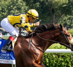 Bowling Green Stakes 2025 Picks and Preview | Far Bridge Stands Out