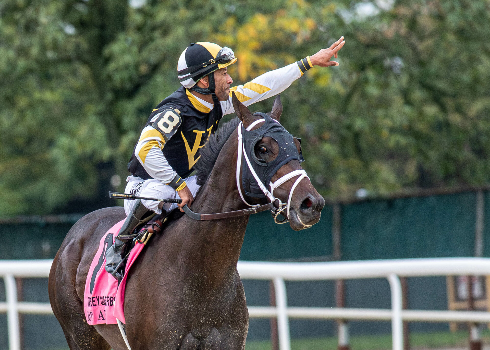 Rockets CASH Late Pick 5 at Belmont at the Big A for 376.00 on 64