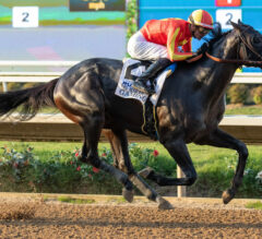 Kentucky Derby 2025 Latest News & Top 5 | Potential Super Star Debuts Wednesday