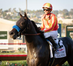 Los Alamitos Futurity Picks and Preview 2024