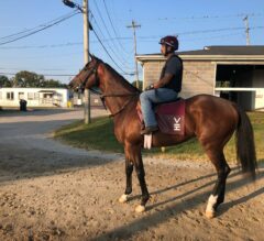 Churchill Downs Picks | Iroquois Stakes 2024 [Kentucky Derby]