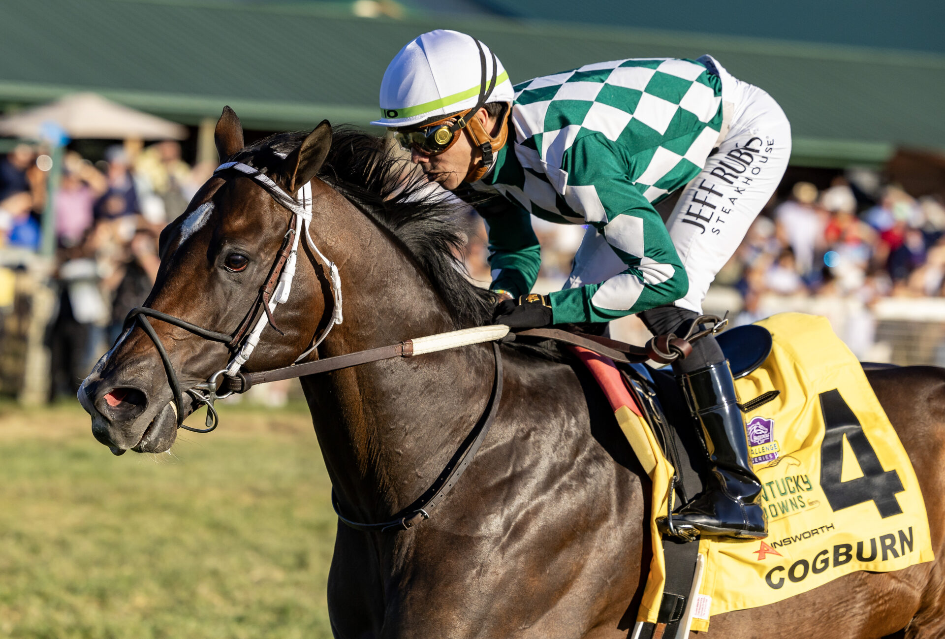 Breeders’ Cup 2024 Top 5 FLOPS Racing Dudes