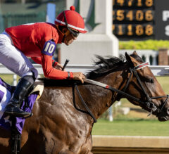 Kentucky Jockey Club Stakes Picks and Preview 2024