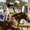 Coaching Club American Oaks 2025 Picks and Preview | La Cara Aims for Gate to Wire Victory