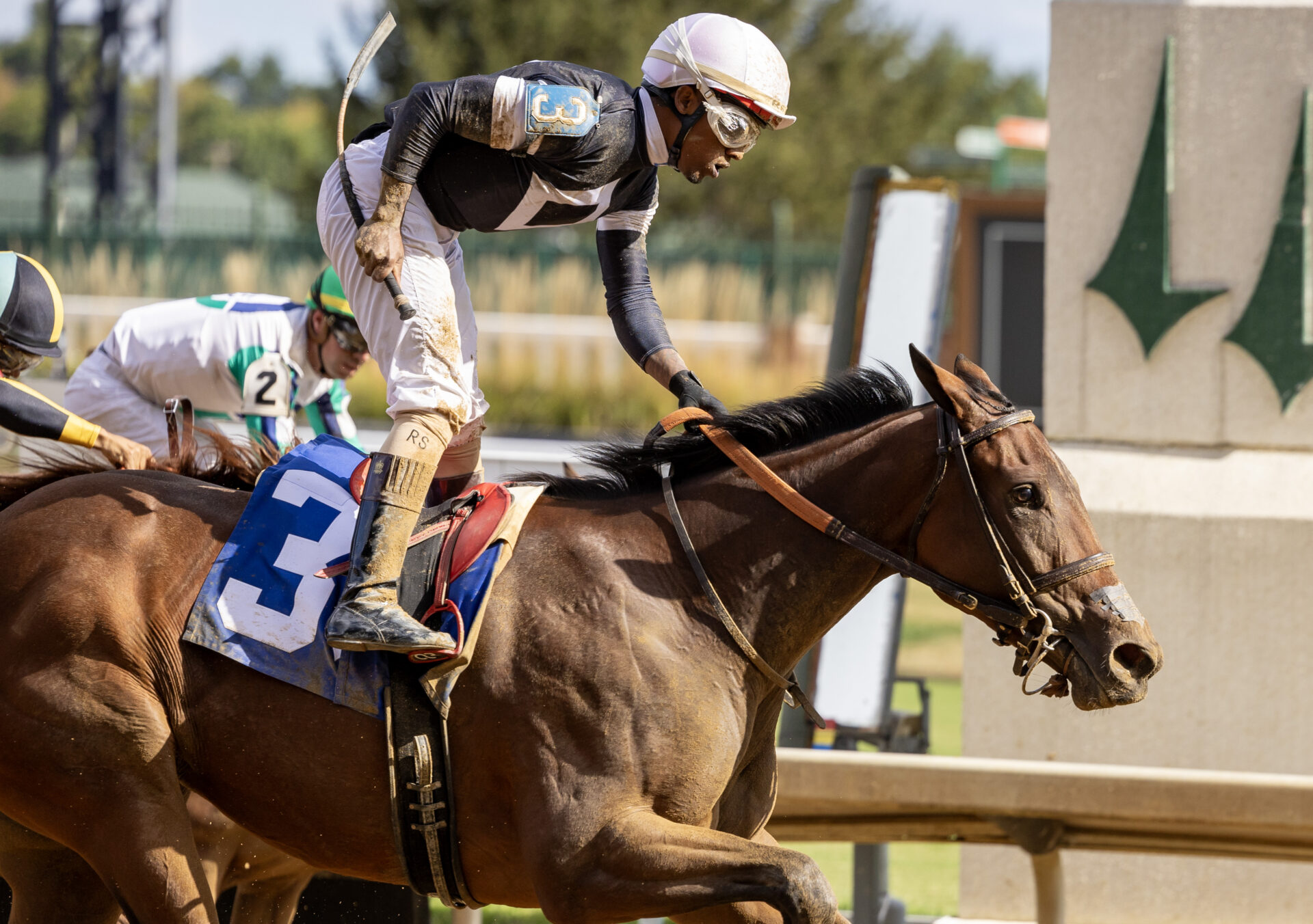 Coaching Club American Oaks 2025 Picks and Preview | La Cara Aims for ...