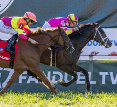 Kentucky Turf Cup Stakes 2025 Picks and Preview | Strong Field of 11 Takes Aim at Major Purse