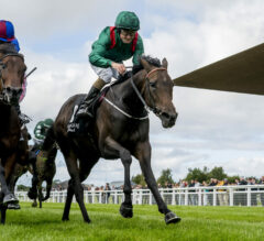 A Day At The Races: Georgian Downs