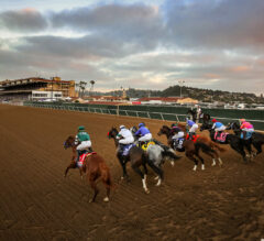 Breeders’ Cup 2024 Official Schedule, Post Times, and Wagering Menu