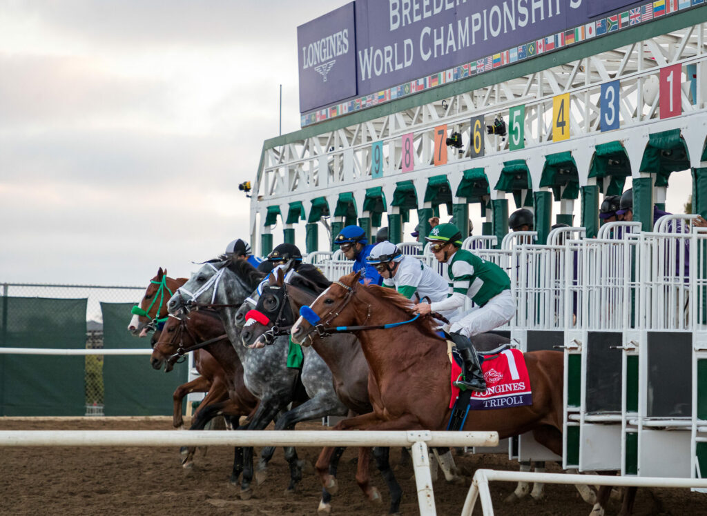 2024 Breeders' Cup Picks, Betting, Contenders and Results
