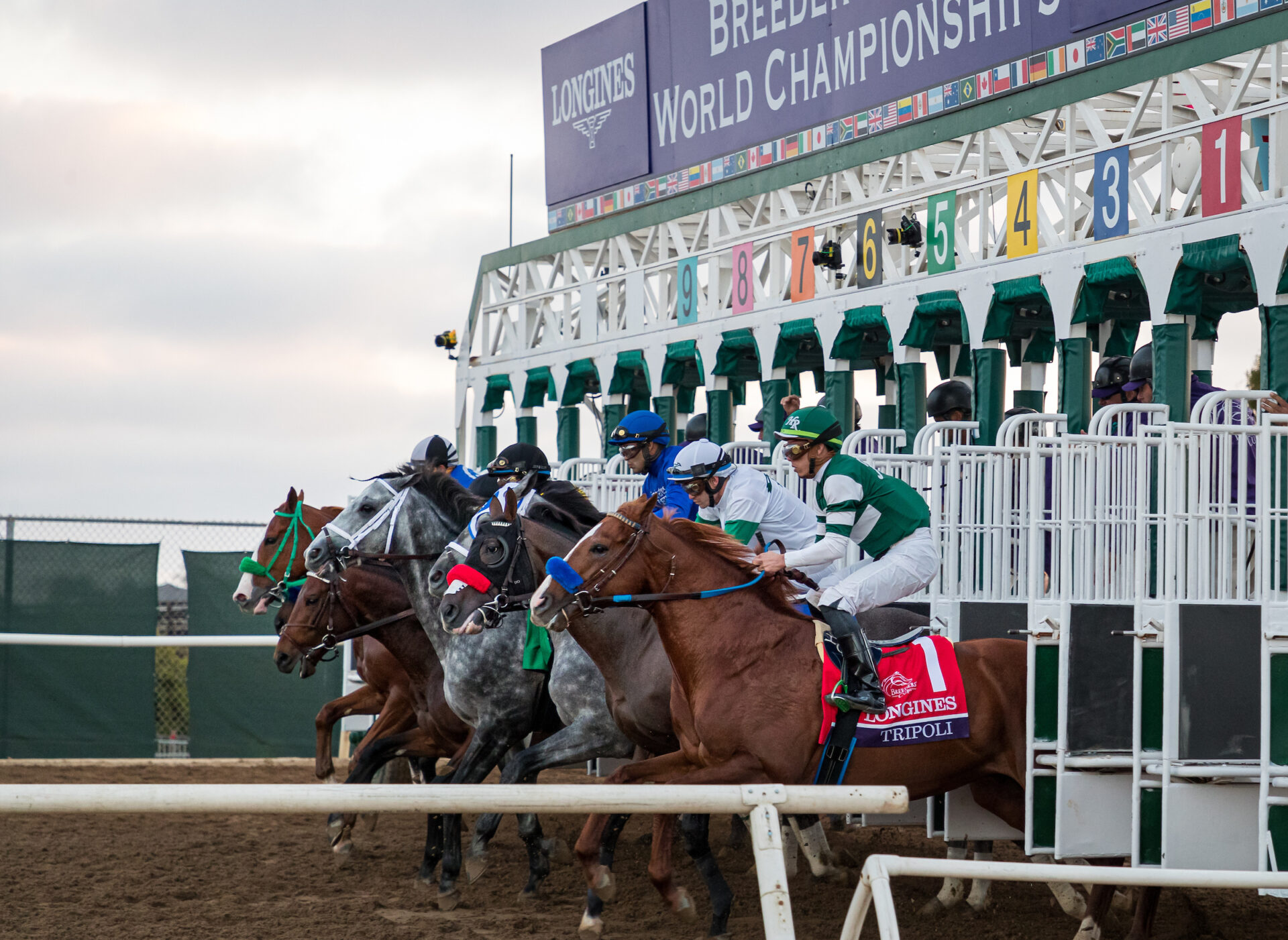 Breeders' Cup 2024 PreEntries Released Expert Analysis & Live