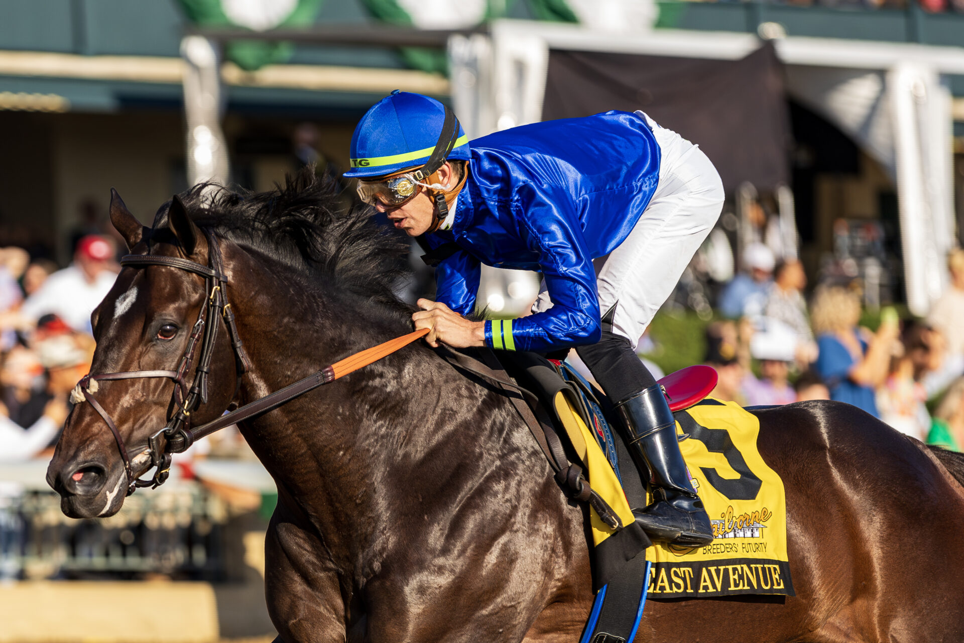 Breeders' Cup Juvenile 2024 Early Preview Racing Dudes