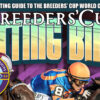 Breeders’ Cup 2024 Picks & Tips | Betting Bible Now Released!