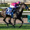 Fourstardave Stakes 2025 Picks and Preview | Johannes Ships East for Major Test