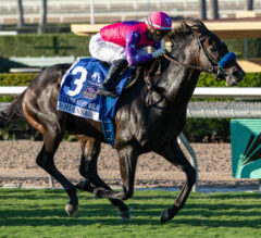 Fourstardave Stakes 2025 Picks and Preview | Johannes Ships East for Major Test