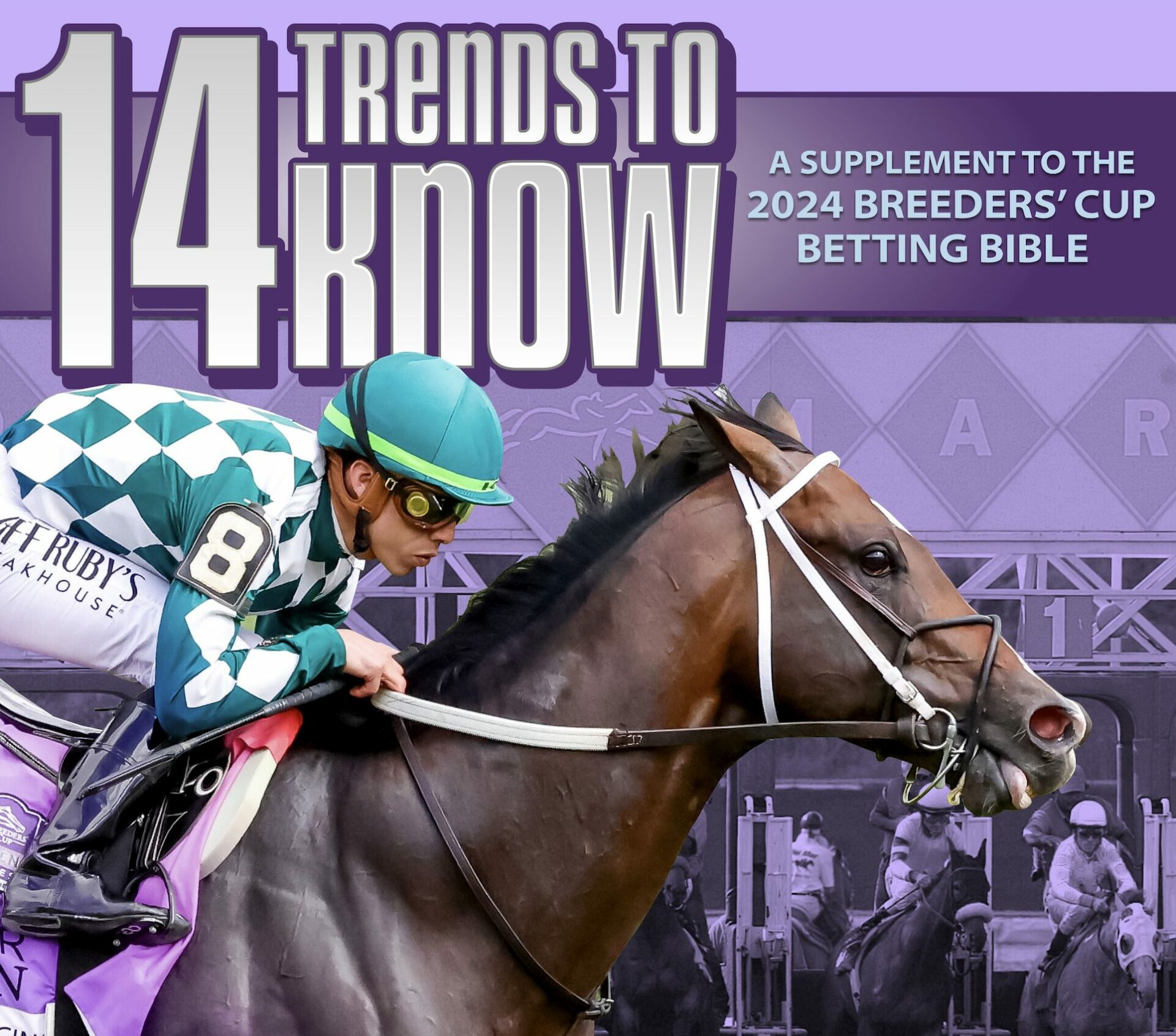 Breeders' Cup 2024 Picks & Predictions 14 Trends To Know