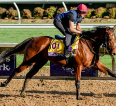 Breeders’ Cup 2024 | Picks, Entries, Odds, & Where To Bet