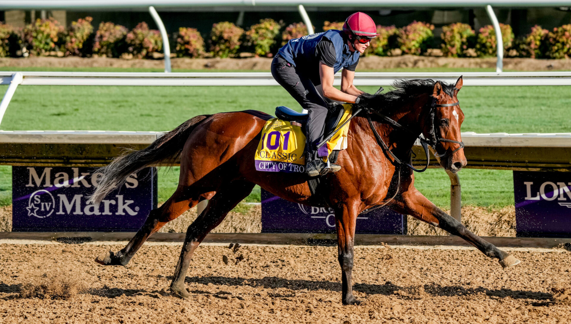 Breeders' Cup 2024 Picks, Entries, Odds, & Where To Bet