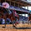 Sierra Leone Beats Fierceness to Win Longines Breeders’ Cup Classic