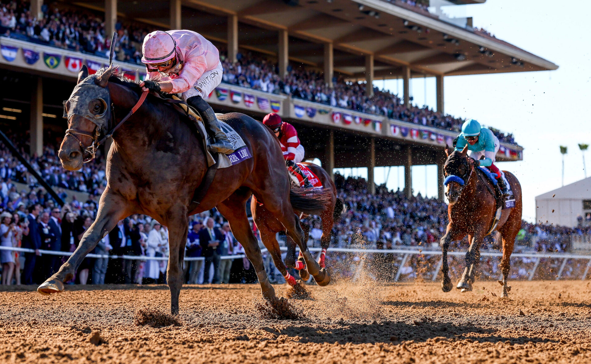 Sierra Leone Beats Fierceness to Win Breeders' Cup Classic