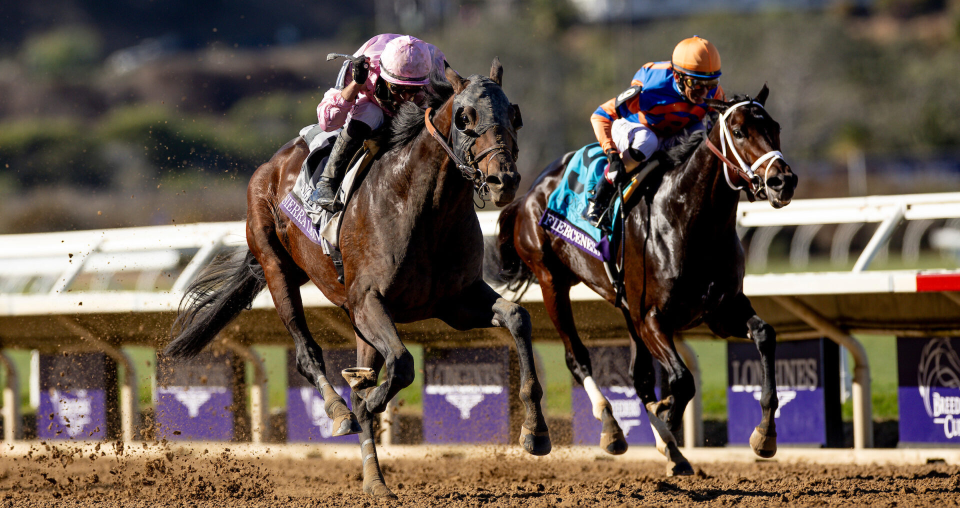 Who is the 2024 3YearOld Male of the Year? Racing Dudes