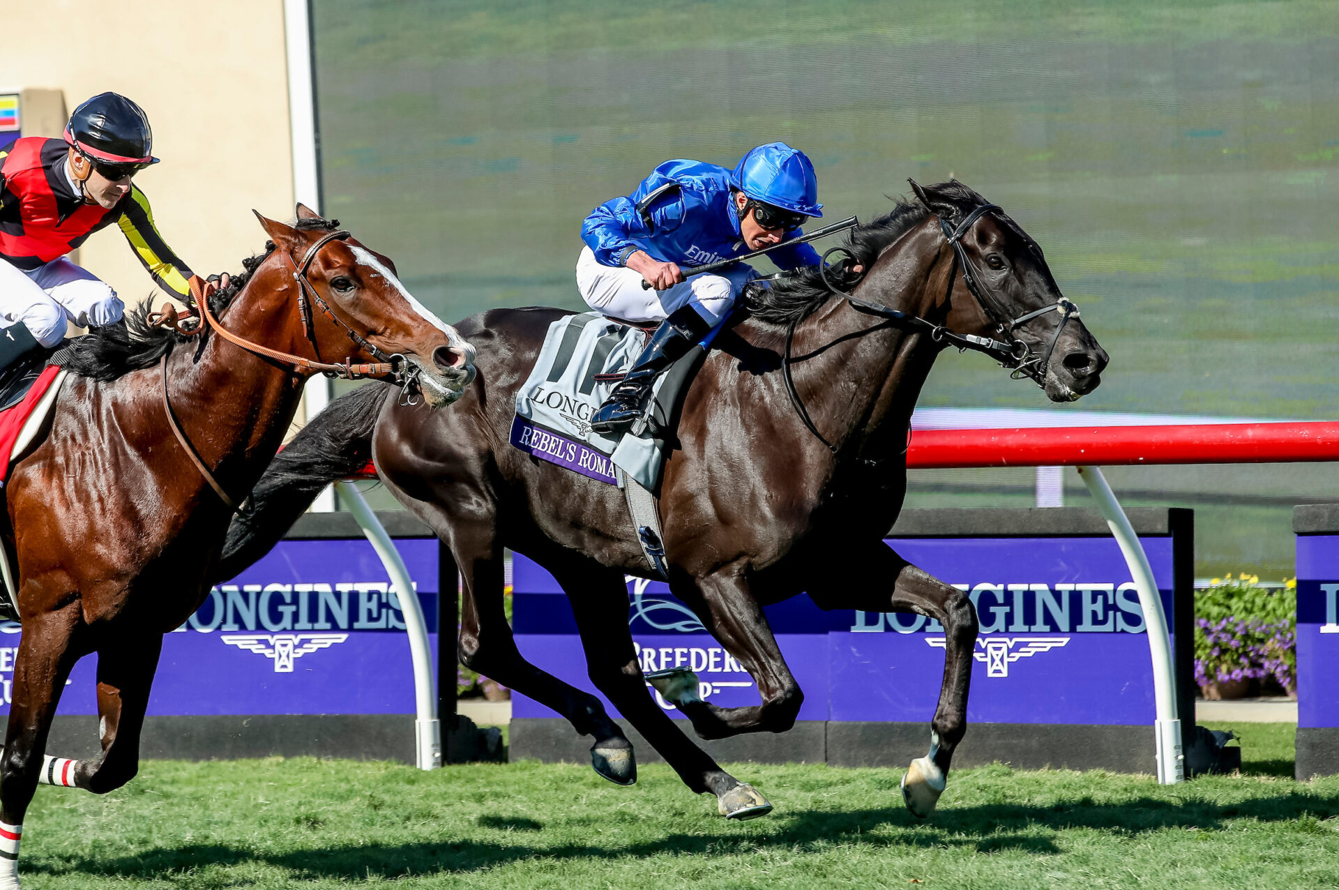 Rebel's Romance Wins Again in Longines Breeders' Cup Turf