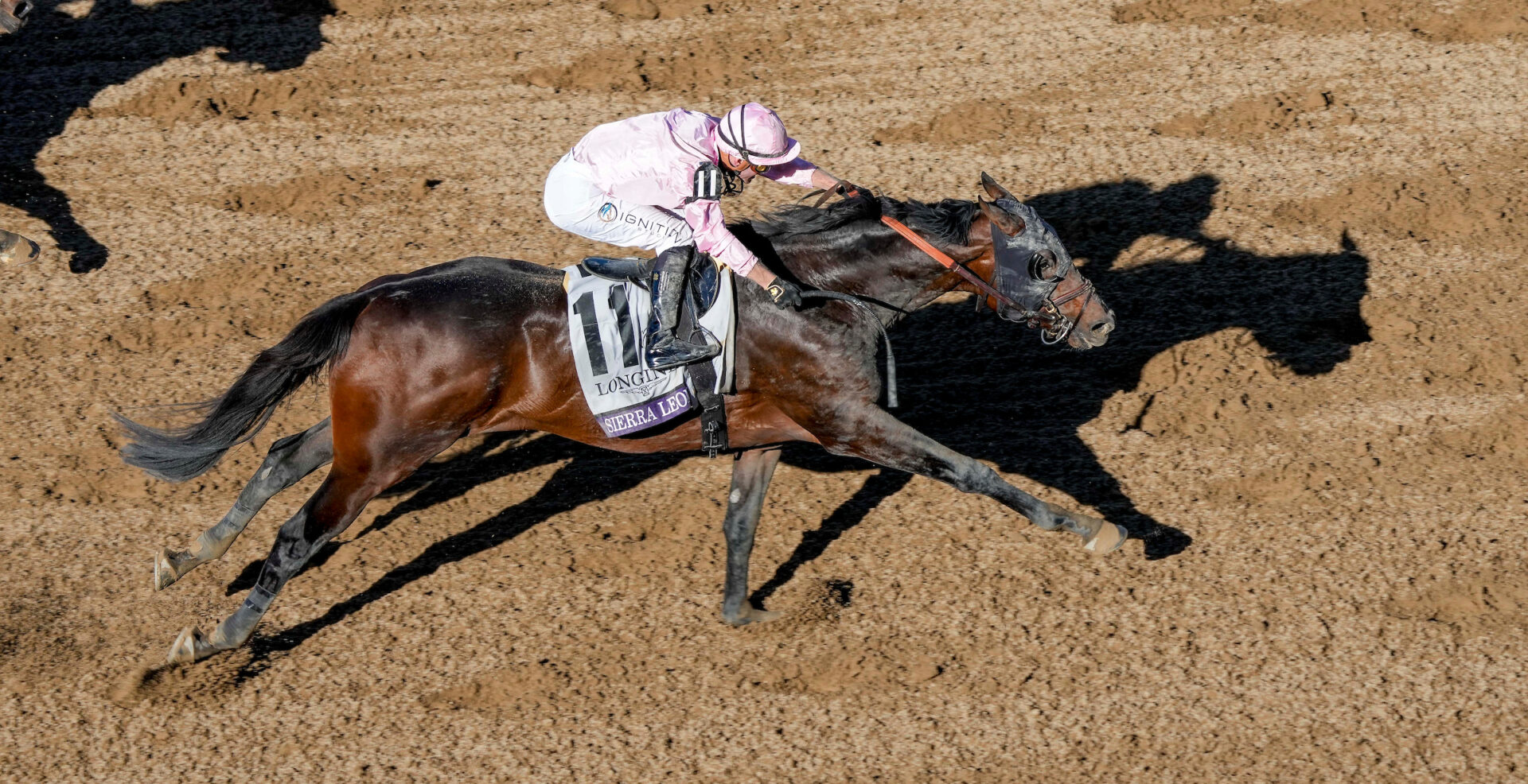 Breeders’ Cup 2024 Top 5 Performances Racing Dudes