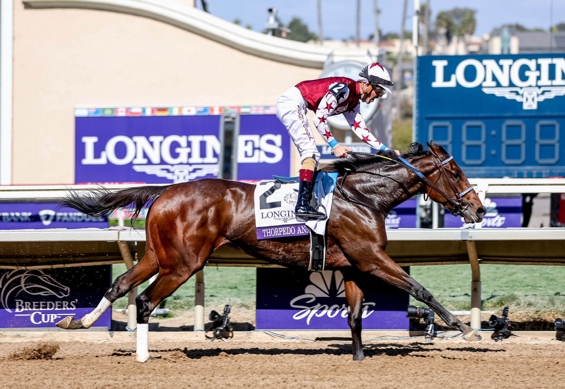 Thorpedo Anna Dominate in Longines Breeders' Cup Distaff