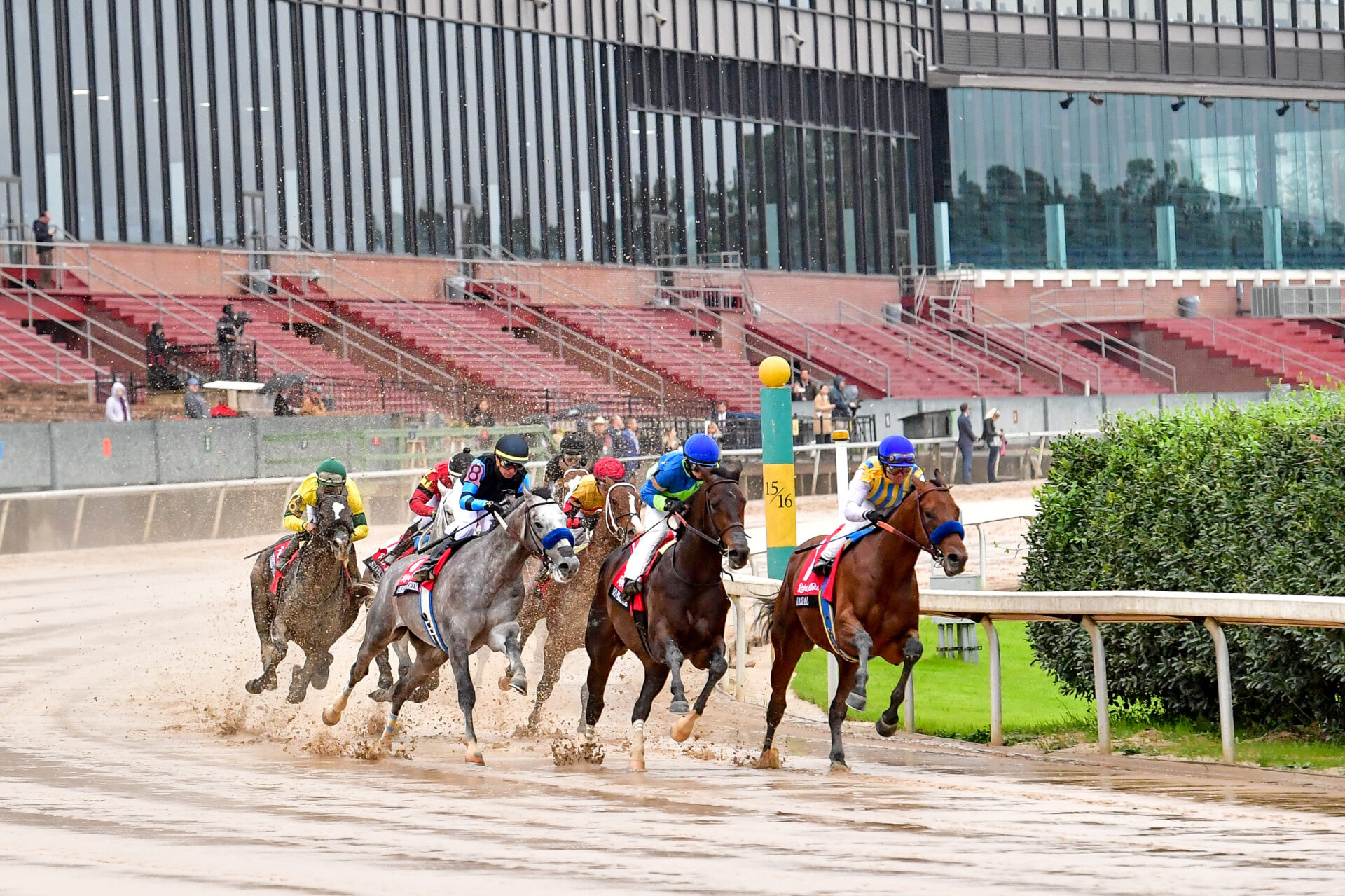 Southwest Stakes Picks and Preview 2025 Kentucky Derby Prep Race