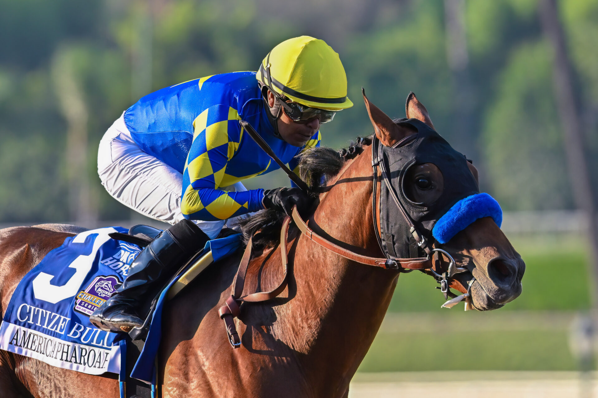 Robert B. Lewis Stakes Picks and Preview 2025 Kentucky Derby Prep