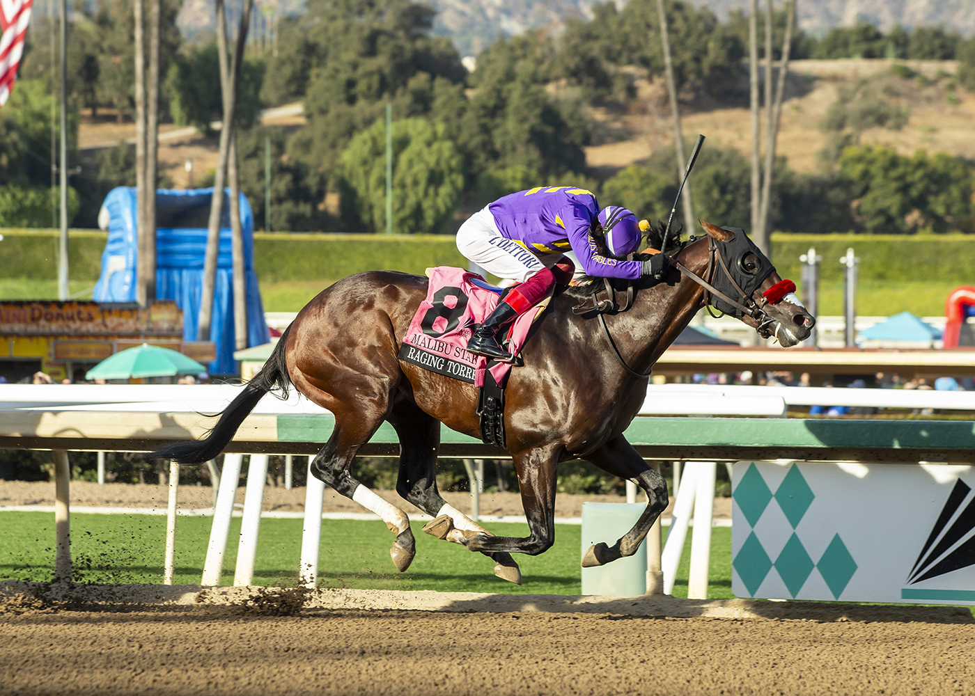 High Stakes Racing Speed vs. Stamina: Why Some Horses Thrive in Stakes Races While Others ...