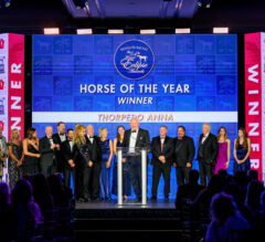 Thorpedo Anna Voted 2024 Horse of the Year | See All Eclipse Award Winners