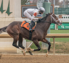 Oaklawn Park FREE Win Picks, Star Plays, and Analysis | January 25, 2025