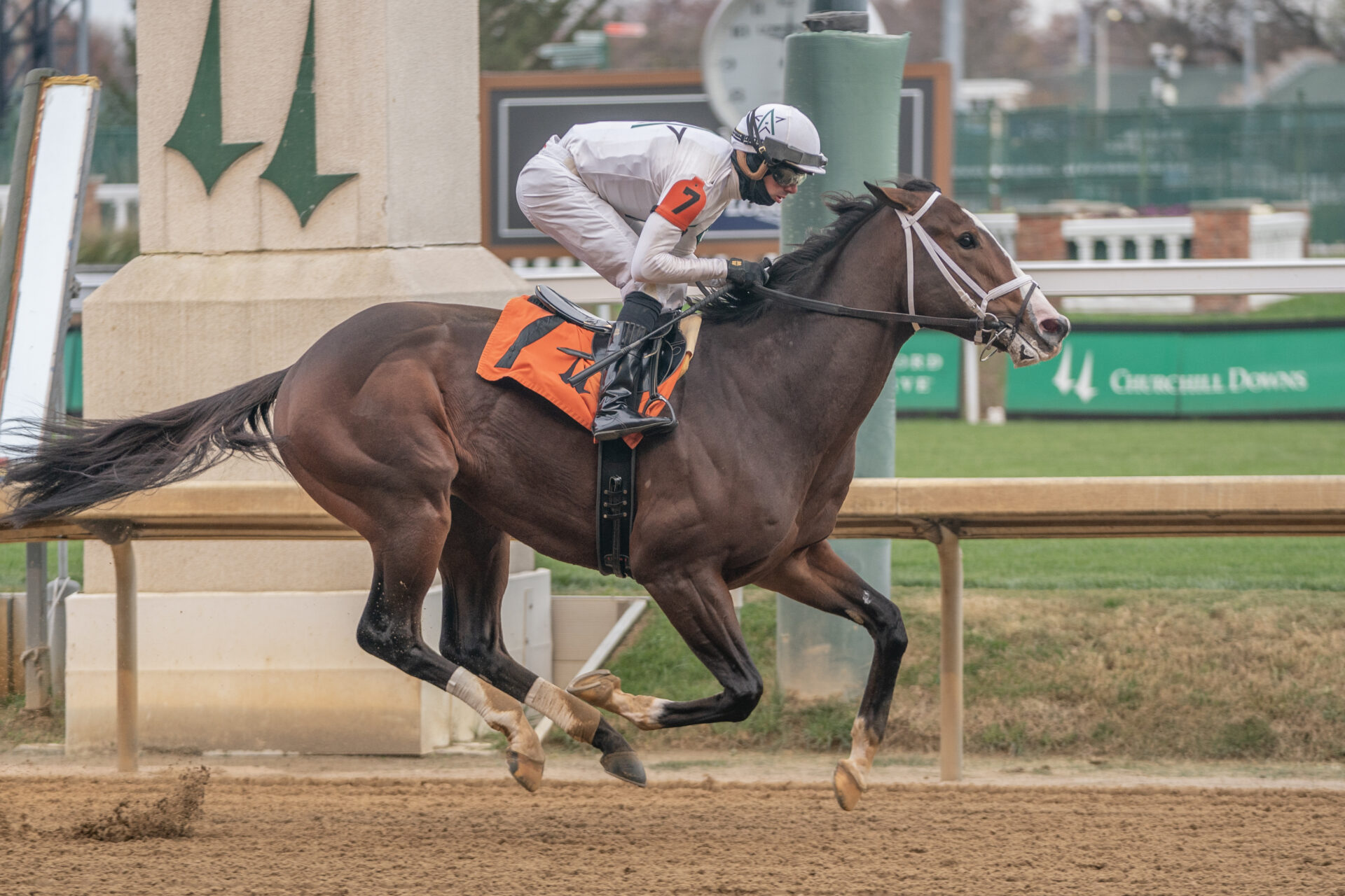 Oaklawn Park FREE Win Picks, Star Plays, and Analysis January 25