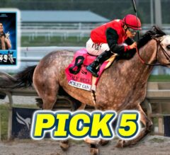 Gulfstream Park Preview & FREE Pick 5 Bets | The Magic Mike Show 578