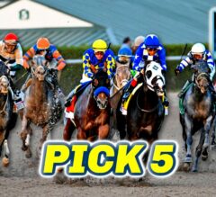 Gulfstream Park Preview & FREE Pegasus World Cup Pick 5 Bets | The Magic Mike Show 577