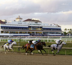 Pegasus World Cup 2026: Probable Starters and What Bettors Need to Know