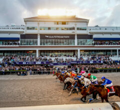 Gulfstream Park FREE Win Picks and Star Plays | February 9, 2025