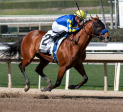 Kentucky Derby Pedigree Analysis: Citizen Bull, Caldera, and Coal Battle