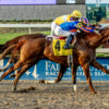 Blame Stakes Picks and Preview 2025