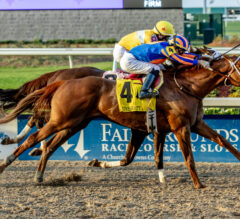 Blame Stakes Picks and Preview 2025