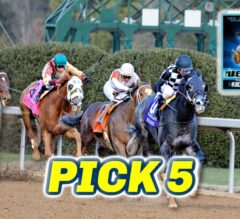 Oaklawn Park Preview & FREE Pick 5 Bets | The Magic Mike Show 581