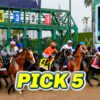 Gulfstream Park Preview & FREE Pick 5 Bets | The Magic Mike Show 582