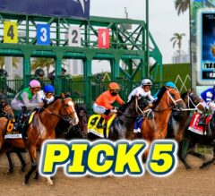 Gulfstream Park Preview & FREE Pick 5 Bets | The Magic Mike Show 582