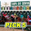 Tampa Bay Downs Preview & FREE Pick 5 Bets | The Magic Mike Show 579