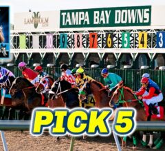 Tampa Bay Downs Preview & FREE Pick 5 Bets | The Magic Mike Show 579