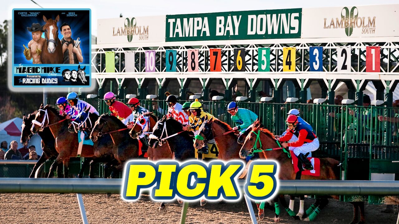 Tampa Bay Downs Preview & FREE Pick 5 Bets | Sam F Davis Day